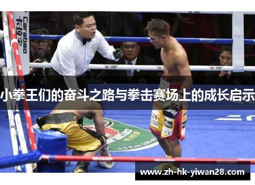 小拳王们的奋斗之路与拳击赛场上的成长启示