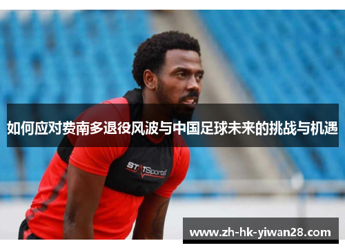 如何应对费南多退役风波与中国足球未来的挑战与机遇