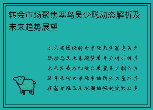 转会市场聚焦塞鸟吴少聪动态解析及未来趋势展望
