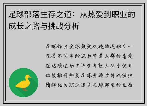 足球部落生存之道：从热爱到职业的成长之路与挑战分析