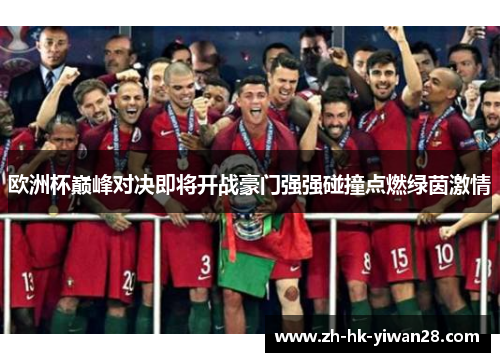 欧洲杯巅峰对决即将开战豪门强强碰撞点燃绿茵激情